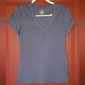 Ladies Banana Republic V-Neck T-shirt Size Medium, Color is Grey/Blue